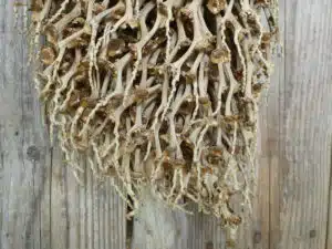 Détail branche décorative