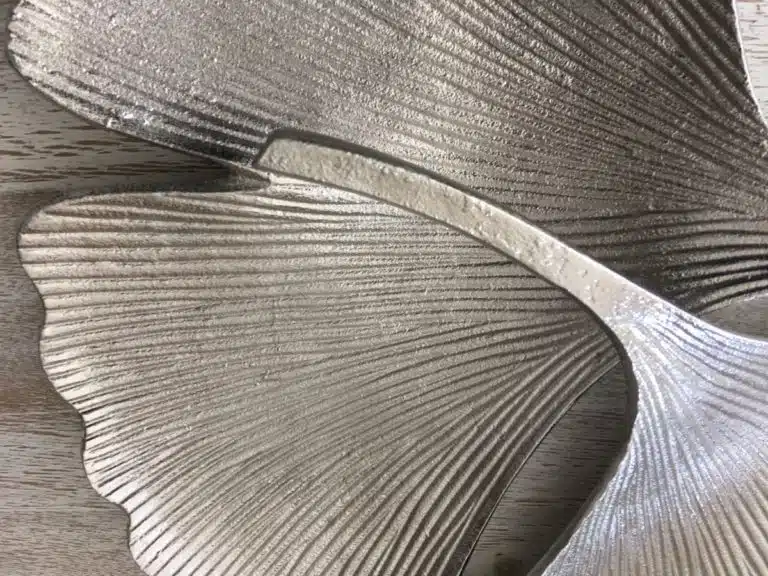 Détail feuilles gingko