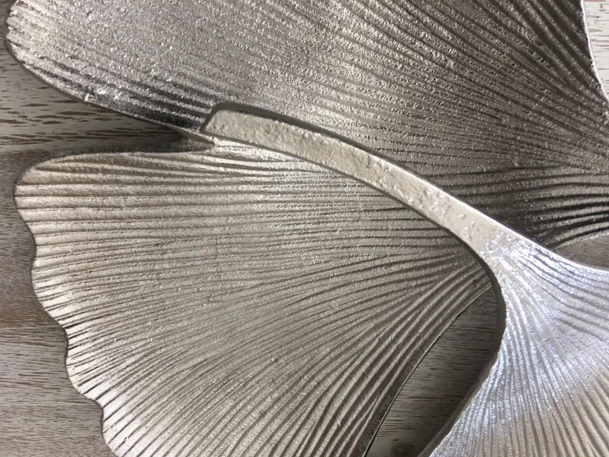 Détail feuilles gingko
