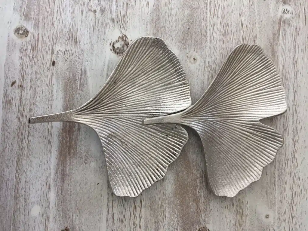 Feuilles gingko petits modèles