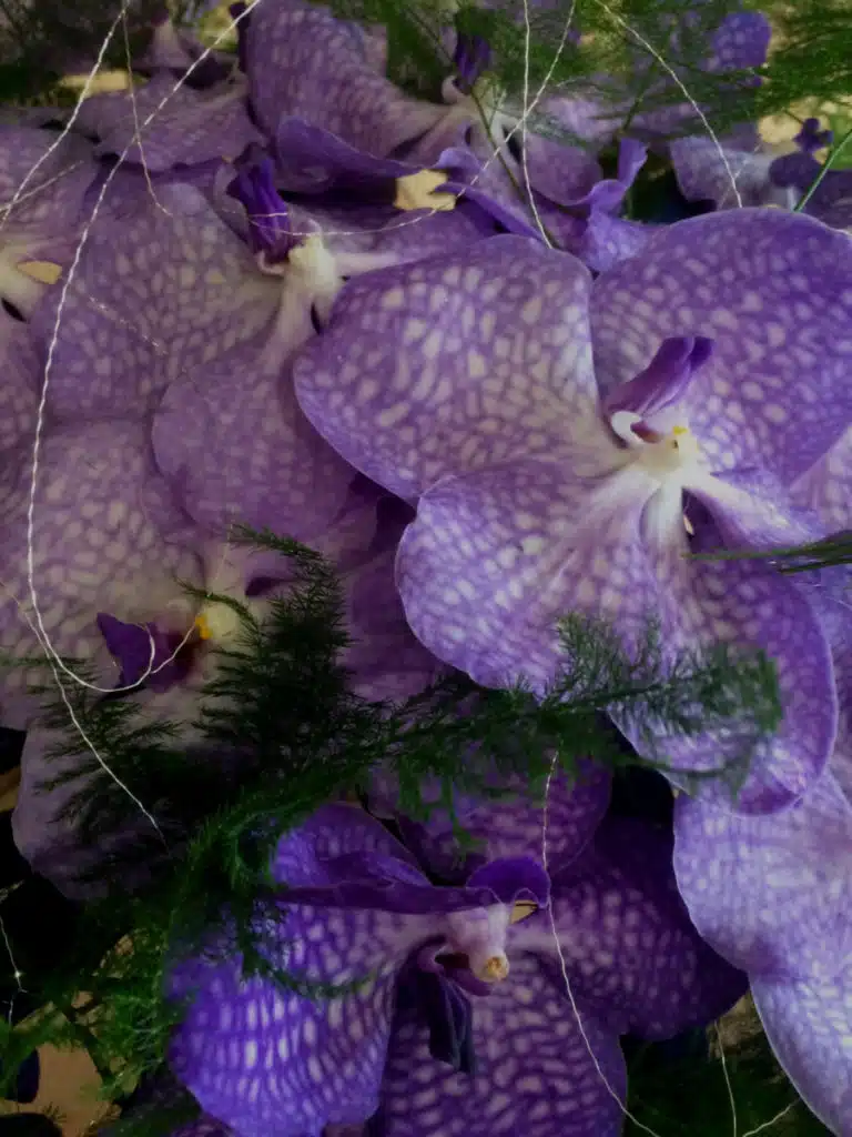 Gros plan sur des orchidées Vanda violettes aux pétales veinés, intégrées dans un bouquet de mariage.