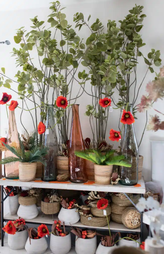 Show room fin d'été