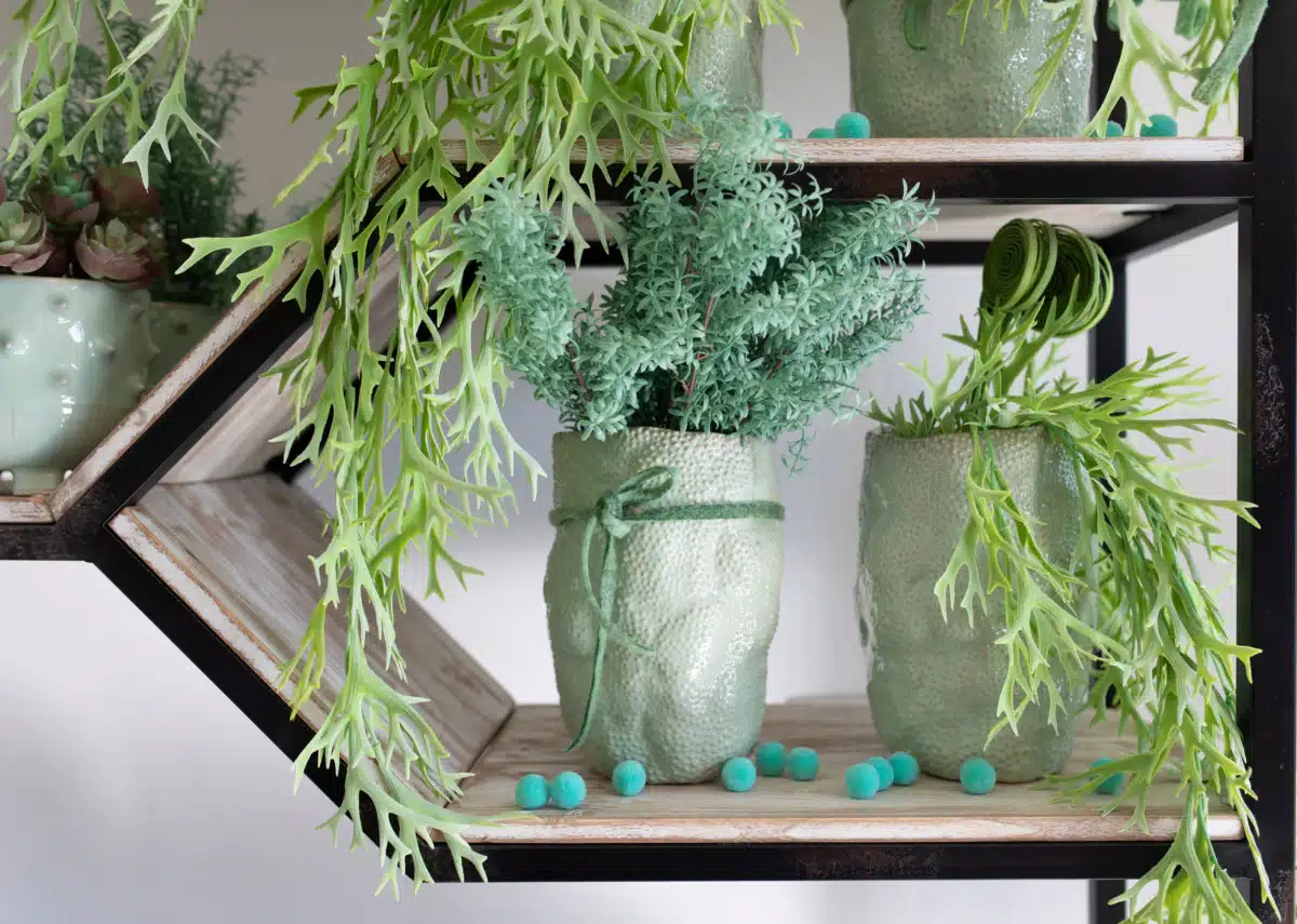 Show room vert et blanc