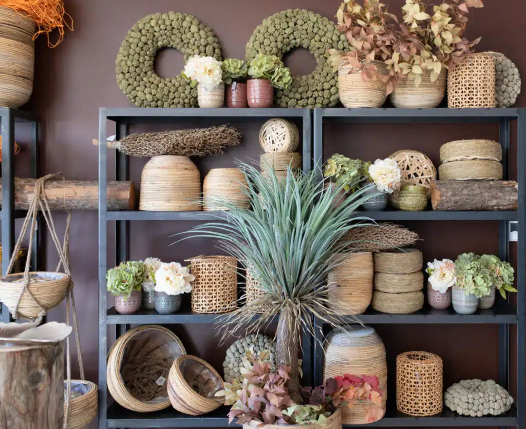 Show room automne