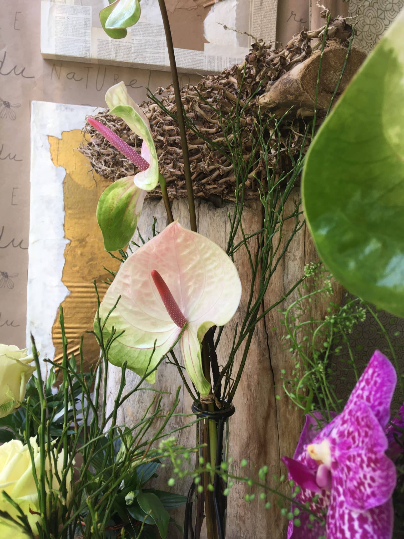 Boutique artisan fleuriste Yann-H2o