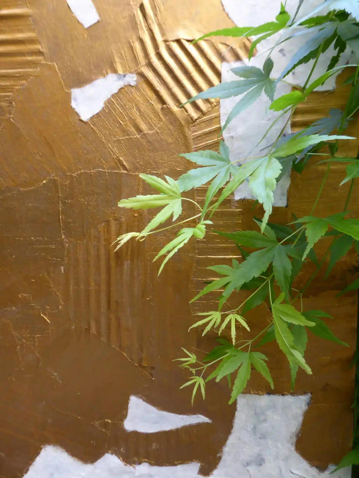 Tableaux Décoratifs Yann H2o