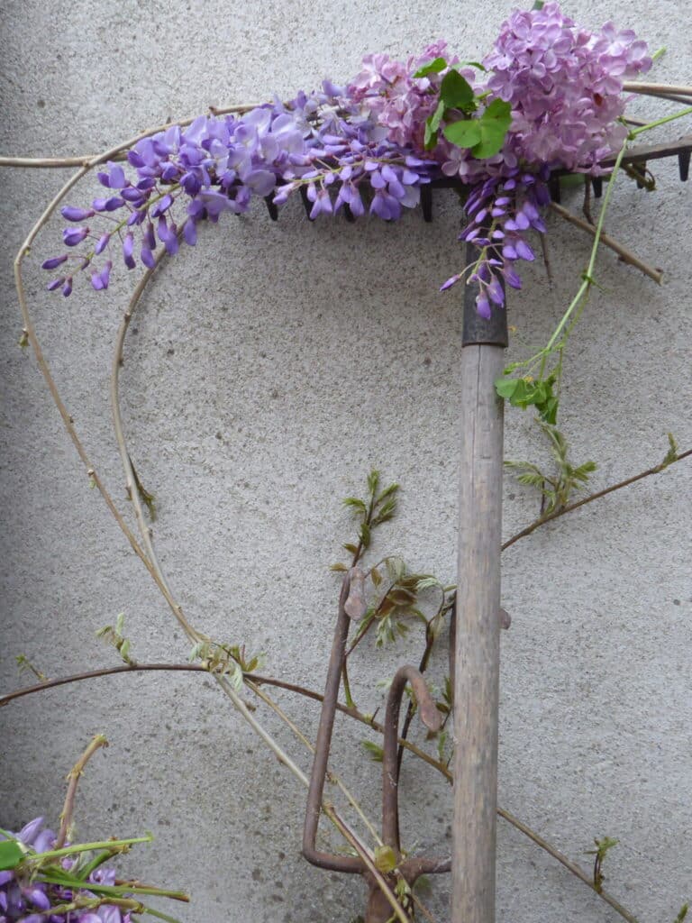 Jardin en Mai