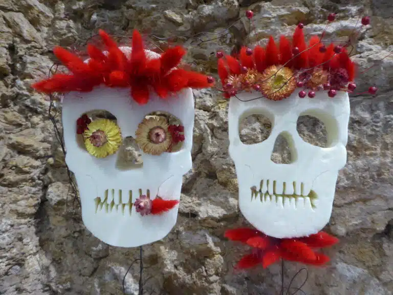 Les Phobies Florales Halloween Yann-H2o