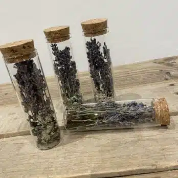 Tube Verre de Lavande - Yann-H2o