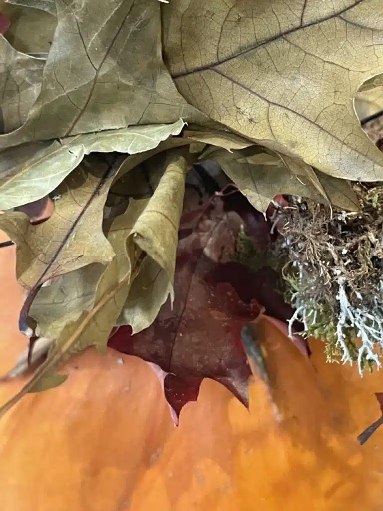 Compositions citrouilles florales Halloween automne Fleuriste Paris 11 Yann-H2o