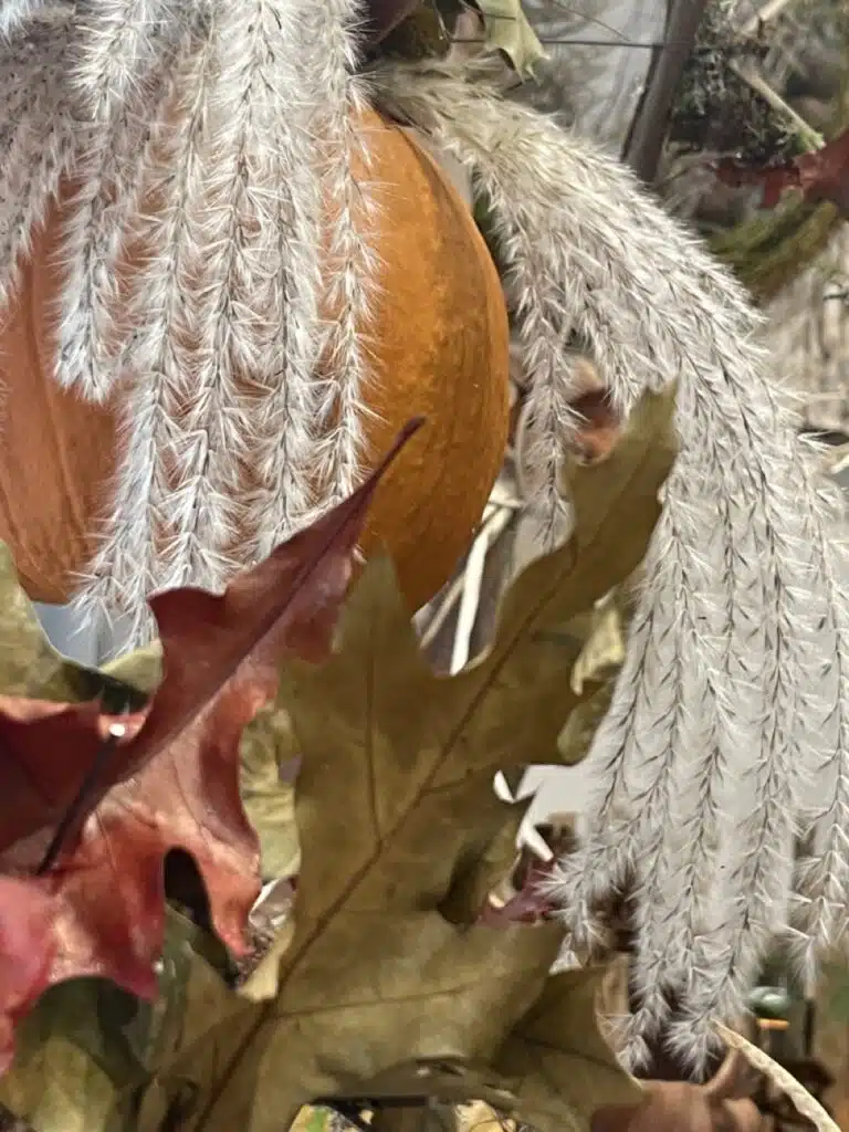 Compositions florales Halloween automne Fleuriste Paris 11 Yann-H2o