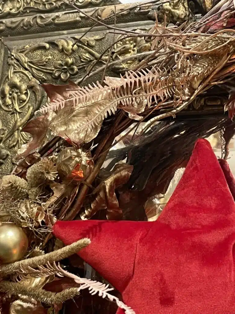 Etoiles de Noël Yann-H2o Fleuriste Paris 11