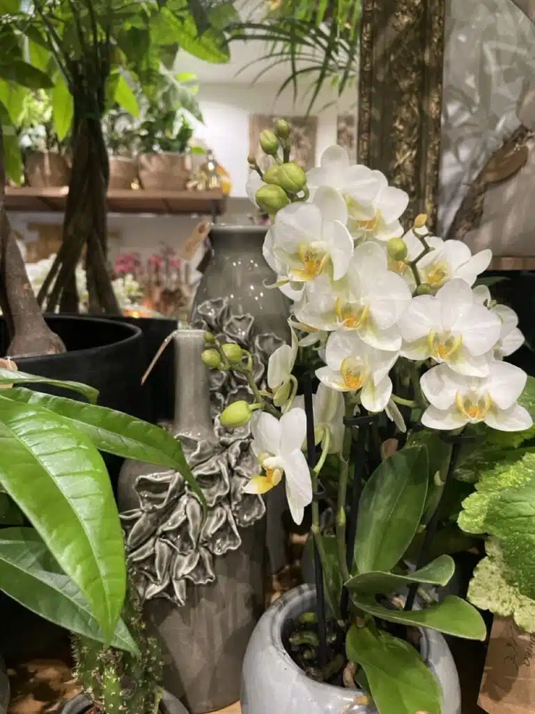 Une rentrée fleurie chez votre fleuriste Paris 11