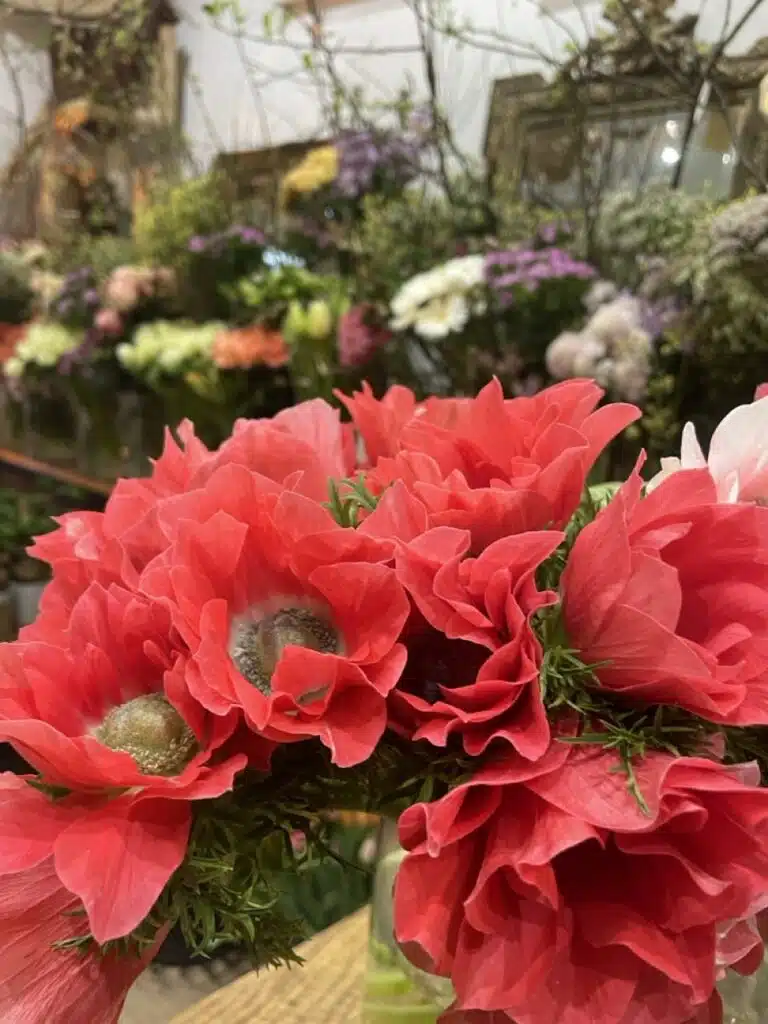 Fleurs de Printemps