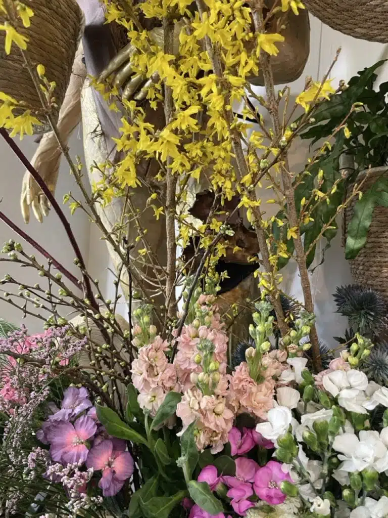 Fleurs de saison et branches fleuries Paris 11