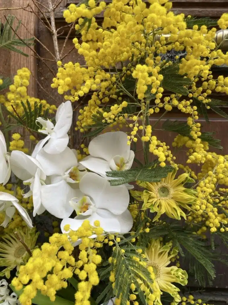 mimosa jaune orchidées blanches devant de tombe fleurs de deuil artisan fleuriste Paris 11 proche Pere Lachaise Paris 20