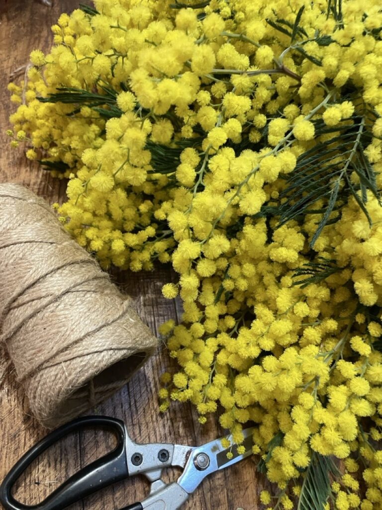 Mimosa frais en bouquet chez Yann-H2o fleuriste Paris 11 – fleurs de saison hivernales
