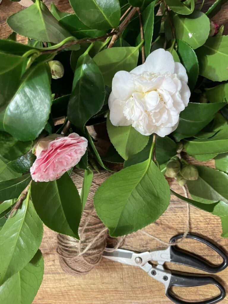Camélia blanc et rose avec feuillage brillant réalisé par Yann-H2o fleuriste Paris 11 rue Pache