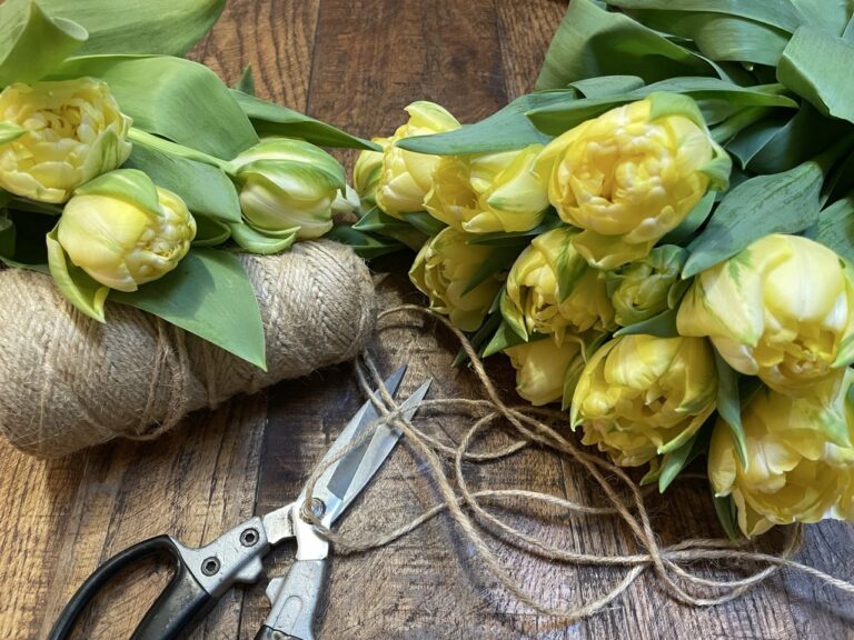 Tulipes jaunes doubles posées sur une table en bois avec ciseaux et ficelle dans l’atelier du fleuriste Yann H2o à Paris.