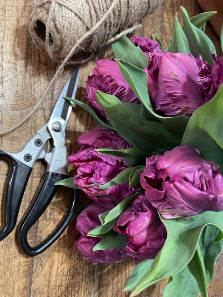 Tulipes violettes doubles posées sur une table en bois avec ciseaux et ficelle dans l’atelier du fleuriste Yann H2o à Paris.