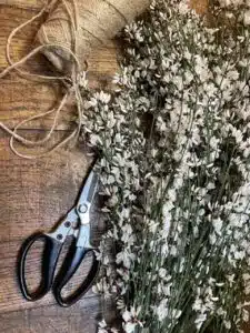 Branches de genêt blanc préparées en atelier par un fleuriste à Paris 11 pour livraison de fleurs