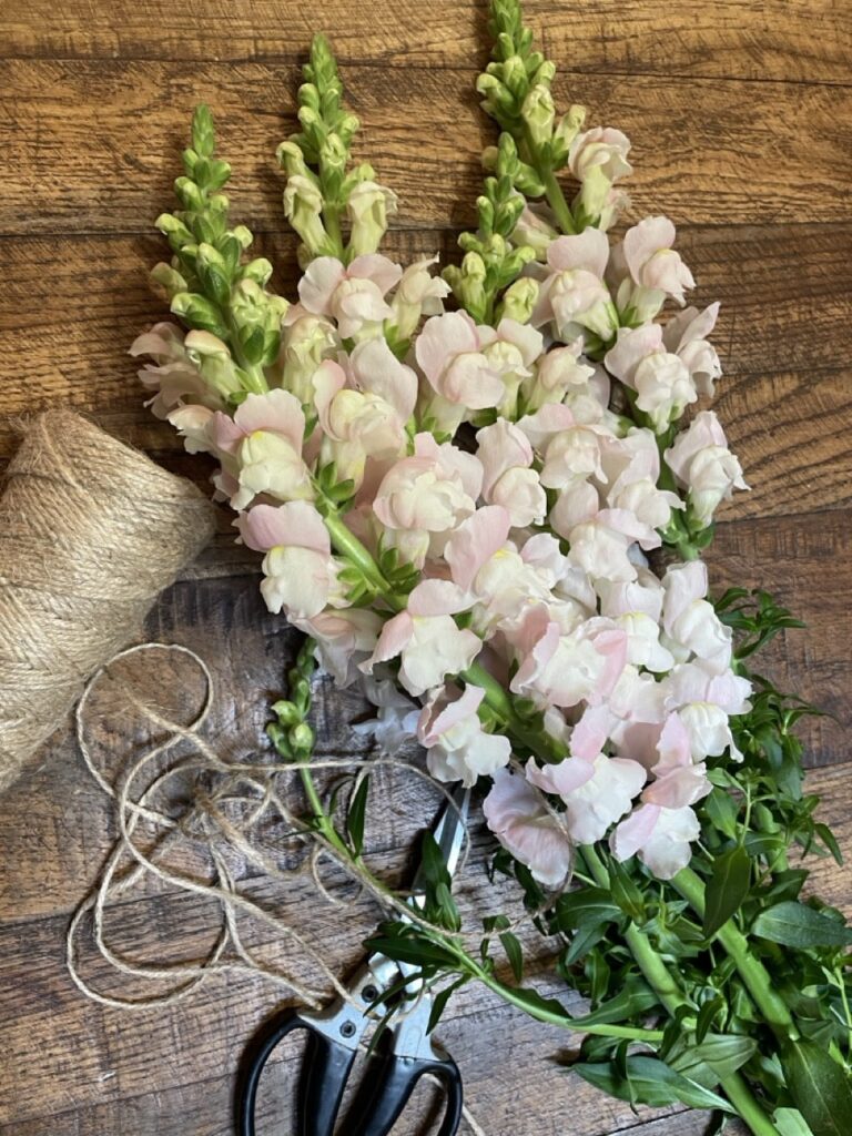 Délicats mufliers roses pastel fraîchement préparés à l’atelier floral pour des bouquets naturels et élégants à Paris 11
