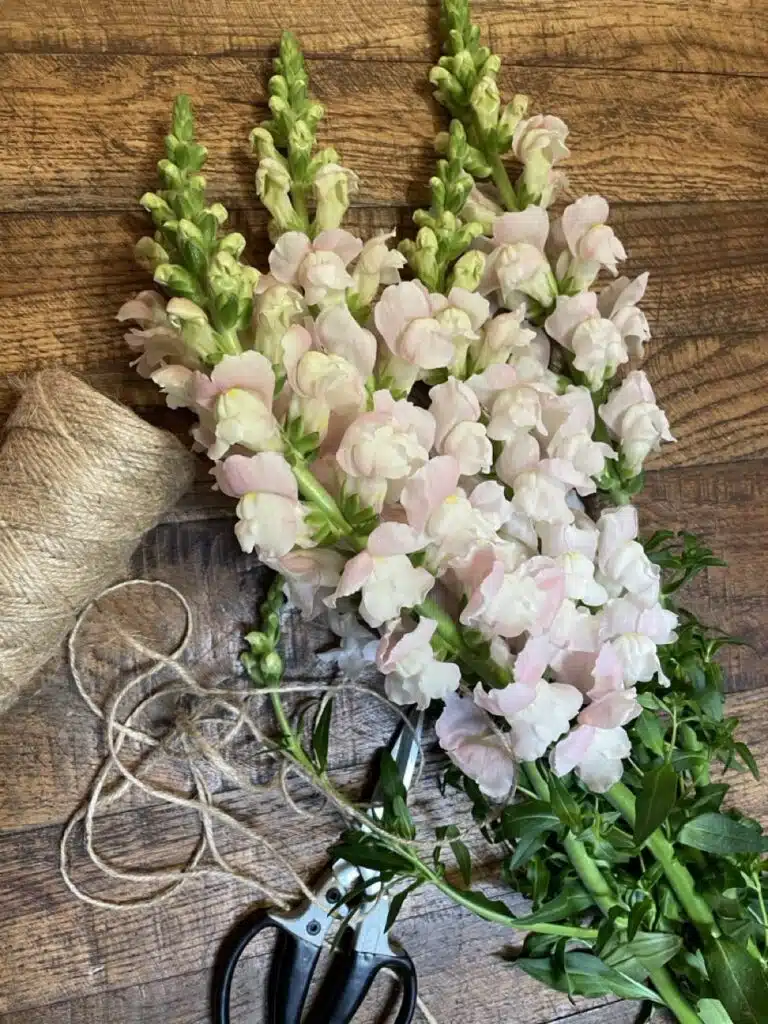 Délicats mufliers roses pastel fraîchement préparés à l’atelier floral pour des bouquets naturels et élégants à Paris 11