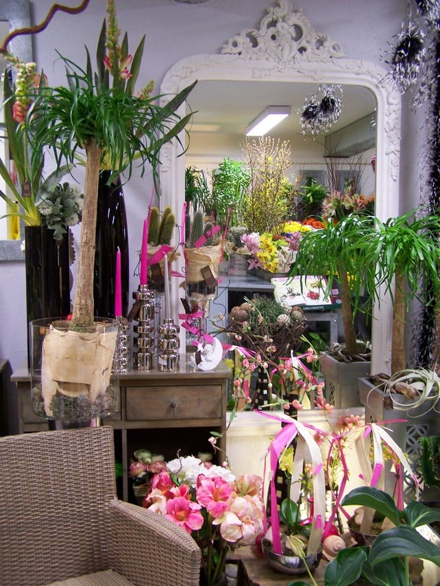 Intérieur de ma première boutique de fleurs « Aux Tournesols » à Nailloux en 1999. Un univers végétal et créatif imaginé au début de mon parcours d'artisan fleuriste, aujourd'hui installé rue Pache à Paris 11.