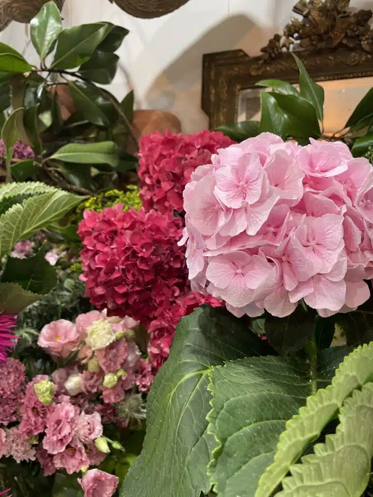 Hortensias roses et fuchsia de saison chez Yann-H2o, artisan fleuriste à Paris 11, à proximité de la rue de la Roquette et du métro Voltaire.