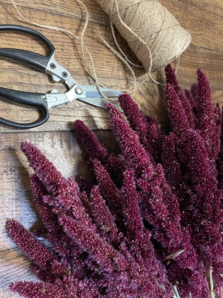 Amarantes pourpres aux épis veloutés disposées sur une table en bois, chez Yann-H2o, artisan fleuriste à Paris 11.