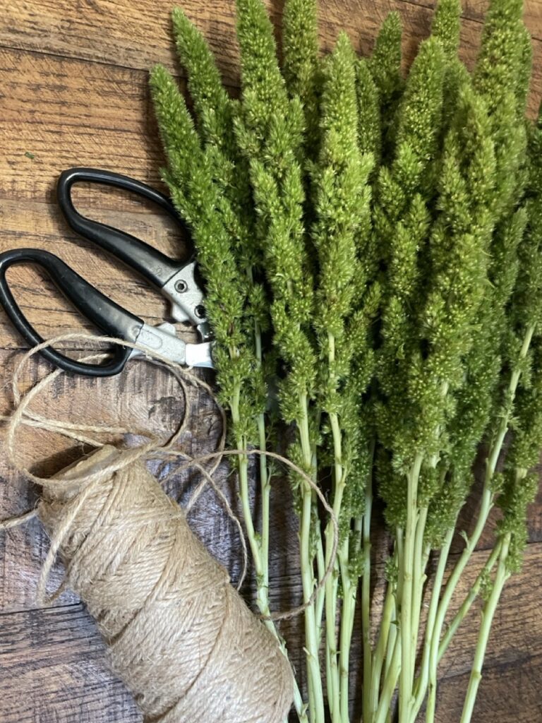 Tiges d’amarantes vertes aux épis dressés sur une table en bois, chez Yann-H2o, artisan fleuriste à Paris 11.