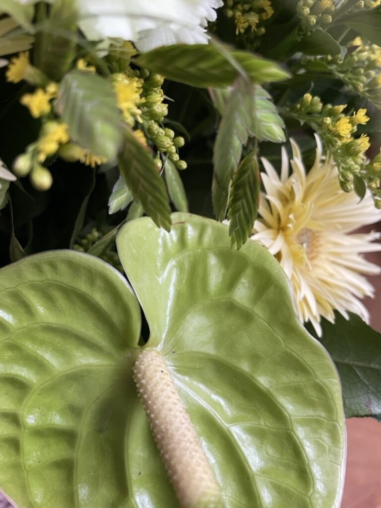 Gros plan sur un anthurium vert brillant entouré de graminées, de petites fleurs jaunes et d'un gerbera crème dans une création florale de Yann-H2o.
