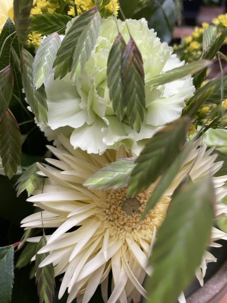 Détails d'un œillet blanc crème et d'un gerbera aux pétales effilés, délicatement traversés de graminées vertes dans un bouquet de Yann-H2o.